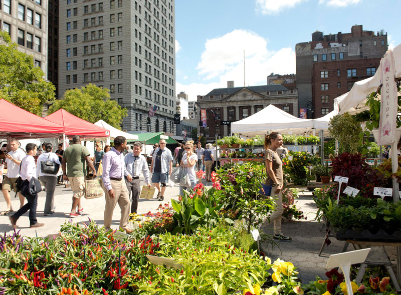 A crowd of New Yorkers walk through a local farmers market